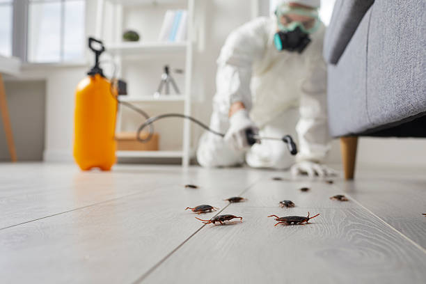 Commercial Kitchen Cockroach Control in Fowler